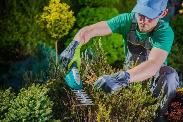 landscaping services High Falls